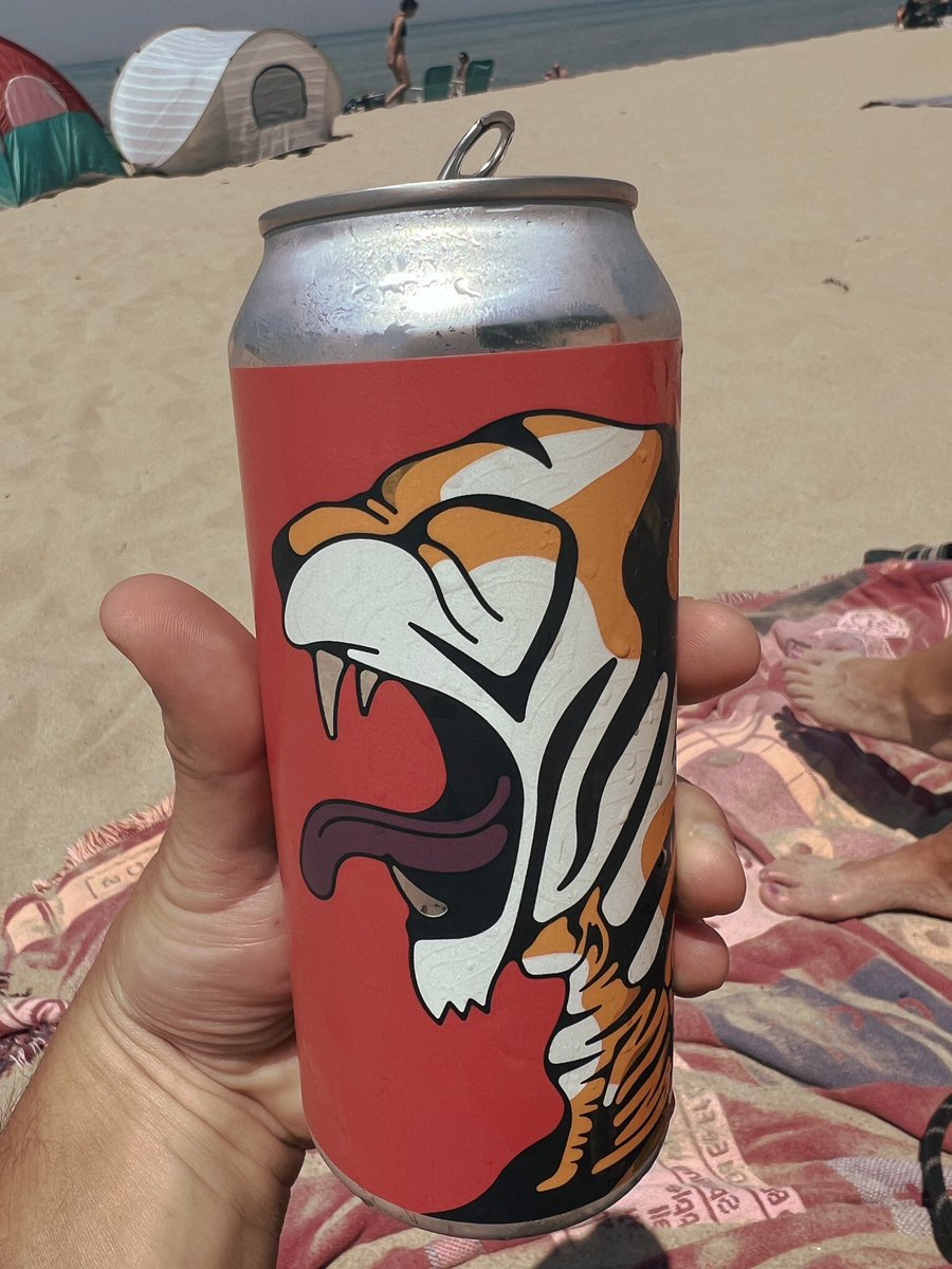 WitekKyle's tweet photo. @RossTuckerNFL @TroegsBeer @TroegsJason @RealGlenMacnow @PaulPabst @PaulRobertsCuse @troegsphilly @alsofhampden @Troegsadelphia @TroegsAndy @TroegsNJ At a beach somewhere in Michigan #ShowMeYourBeer https://t.co/YLsPkiUxcY