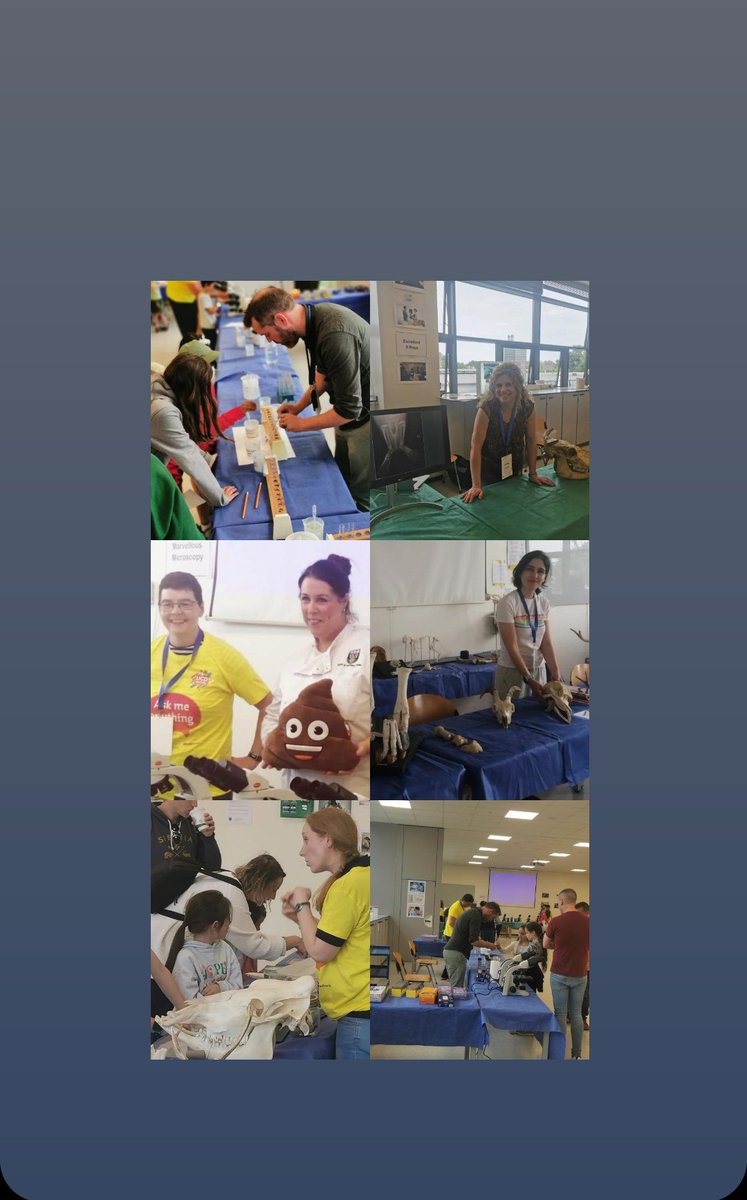 CathrinMcCarney's tweet photo. Great fun had representing @ucdvetmed at the ucd festival today 😀well done to all involved, it was epic. @DohertyVetDean, #ucdfestival https://t.co/cDgjXa5z9M