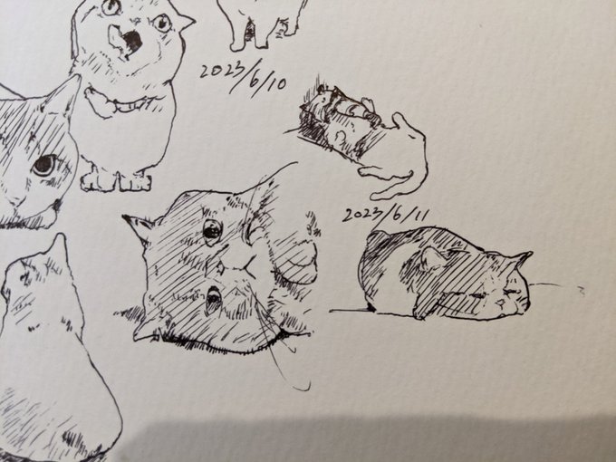 昨日のみんなの動物園、池崎さんの判断に共感しかなかった カキカキ。 