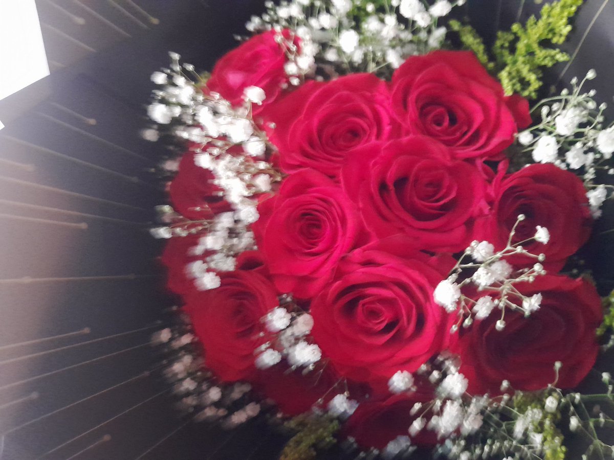Odonias3's tweet photo. En todo momento junto ami, 
Desde el invierno asta la primavera 
Del otoño asta el verano
Sus suaves caricias, sus calidos abrazos https://t.co/u4amUSA5a5