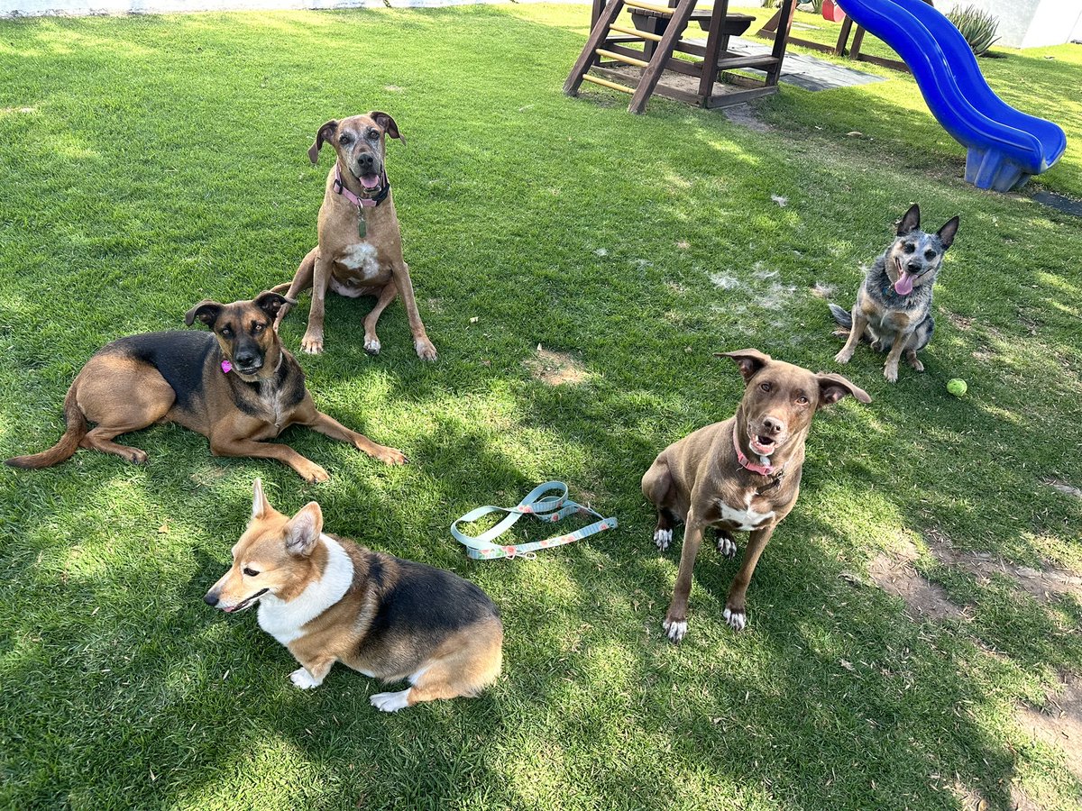 Elias Calderón tweet media