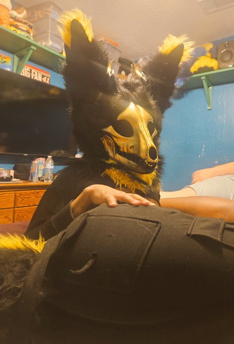 1 pic. Skulldogo butt.

#mursuit #mursuiter #softmursuit
#lewdskulldogo #18plusaccount https://t.co/