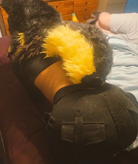 2 pic. Skulldogo butt.

#mursuit #mursuiter #softmursuit
#lewdskulldogo #18plusaccount https://t.co/