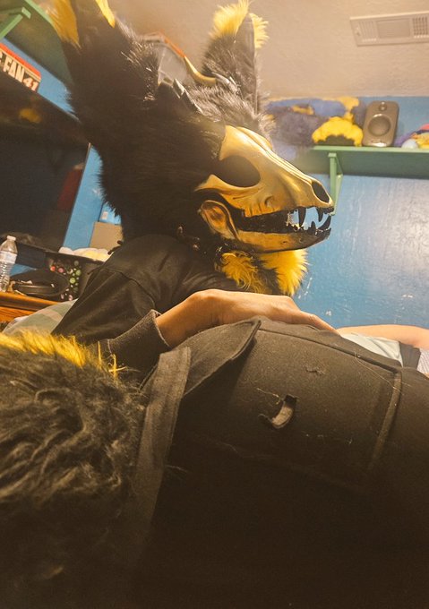 3 pic. Skulldogo butt.

#mursuit #mursuiter #softmursuit
#lewdskulldogo #18plusaccount https://t.co/