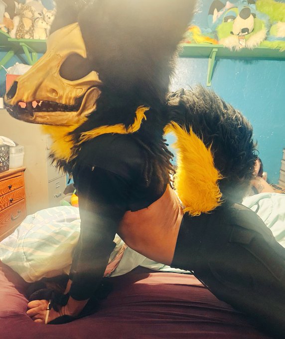 4 pic. Skulldogo butt.

#mursuit #mursuiter #softmursuit
#lewdskulldogo #18plusaccount https://t.co/