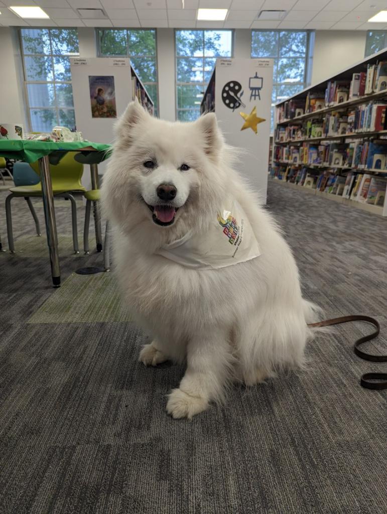 ShakerLibrary's tweet image. Pizza, arts and crafts, and a fluffy therapy dog. What a great way to start the summer and summer reading! shakerlibrary.beanstack.org. Thanks to famlies who came out for our Kick-Off Party. 437 children have registered for summer reading so far. Help us keep the momentum going!