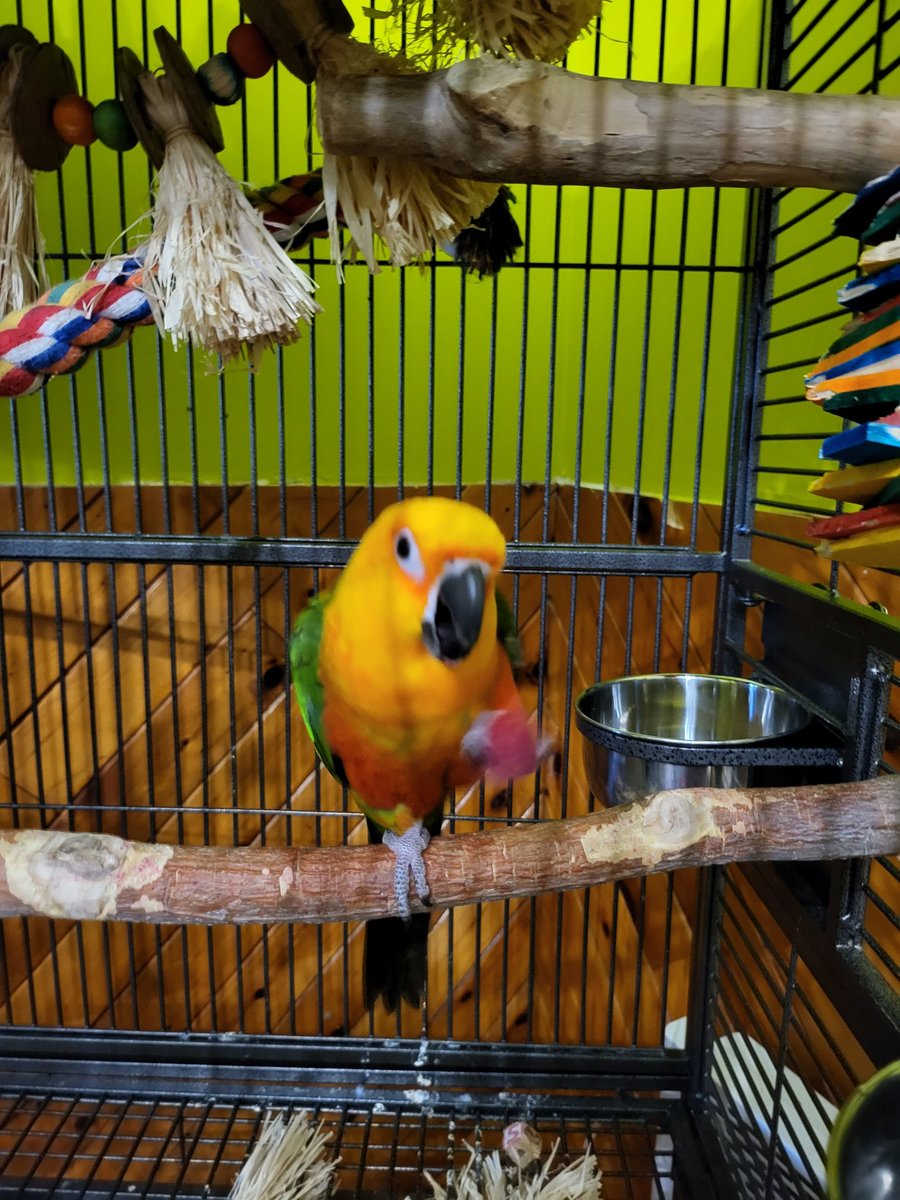 A girl and her raspberry.
