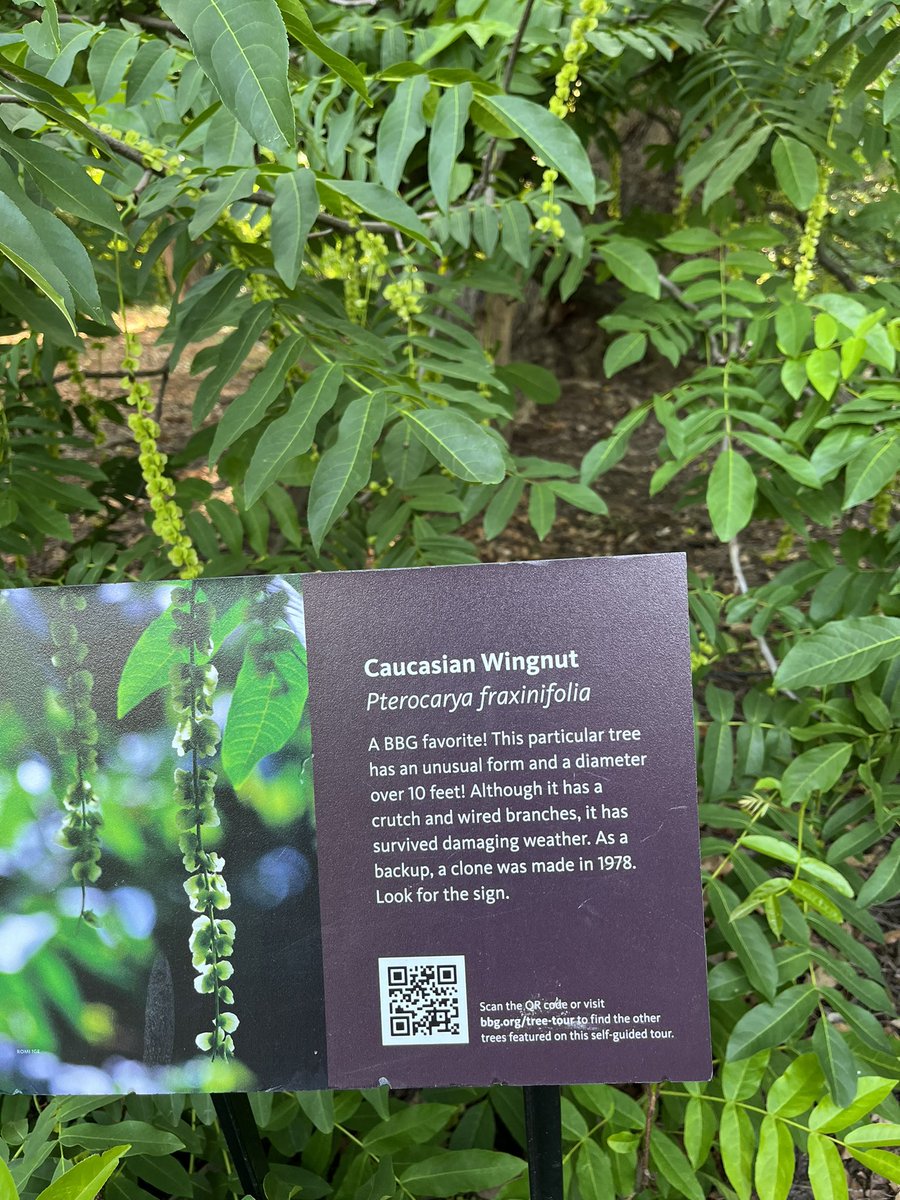 mars marissa mookalina tweet media