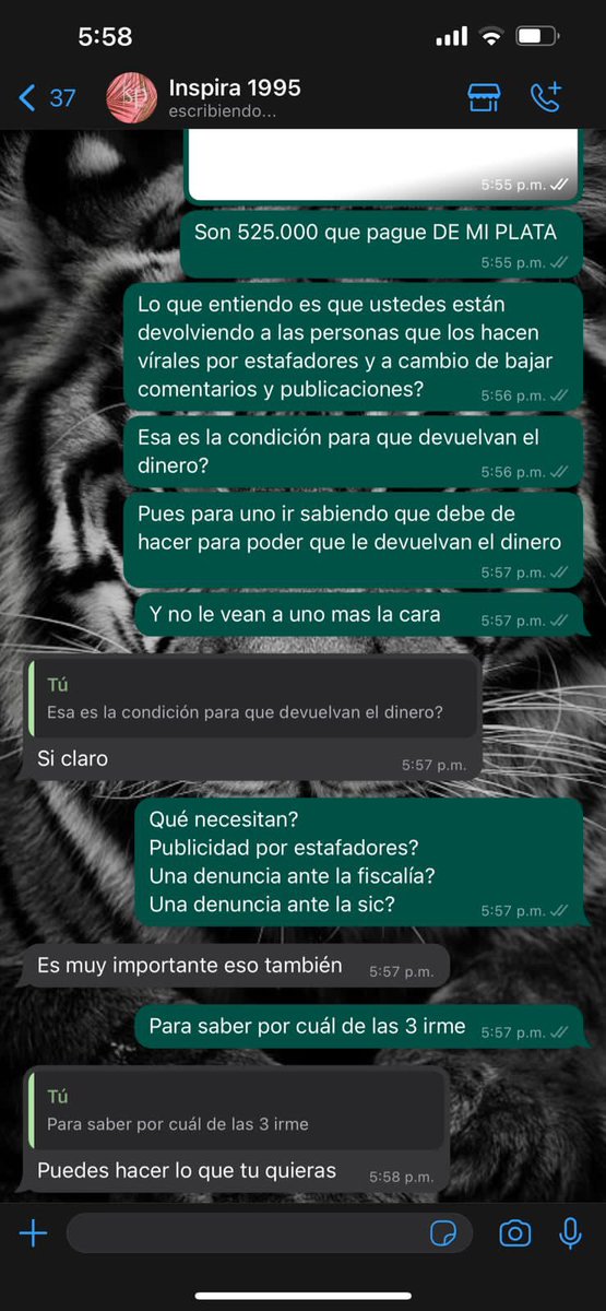 Angelina2481's tweet photo. Que tal la respuesta de la sra CELY, #inspiratejidos estafadores siguen robando a mas gente y segun la sra DANIELA CELY toca hacerla mas famosa para que devuelva lo que nos ha robado… @FiscaliaCol @sicsuper https://t.co/ovlMI6CnwY