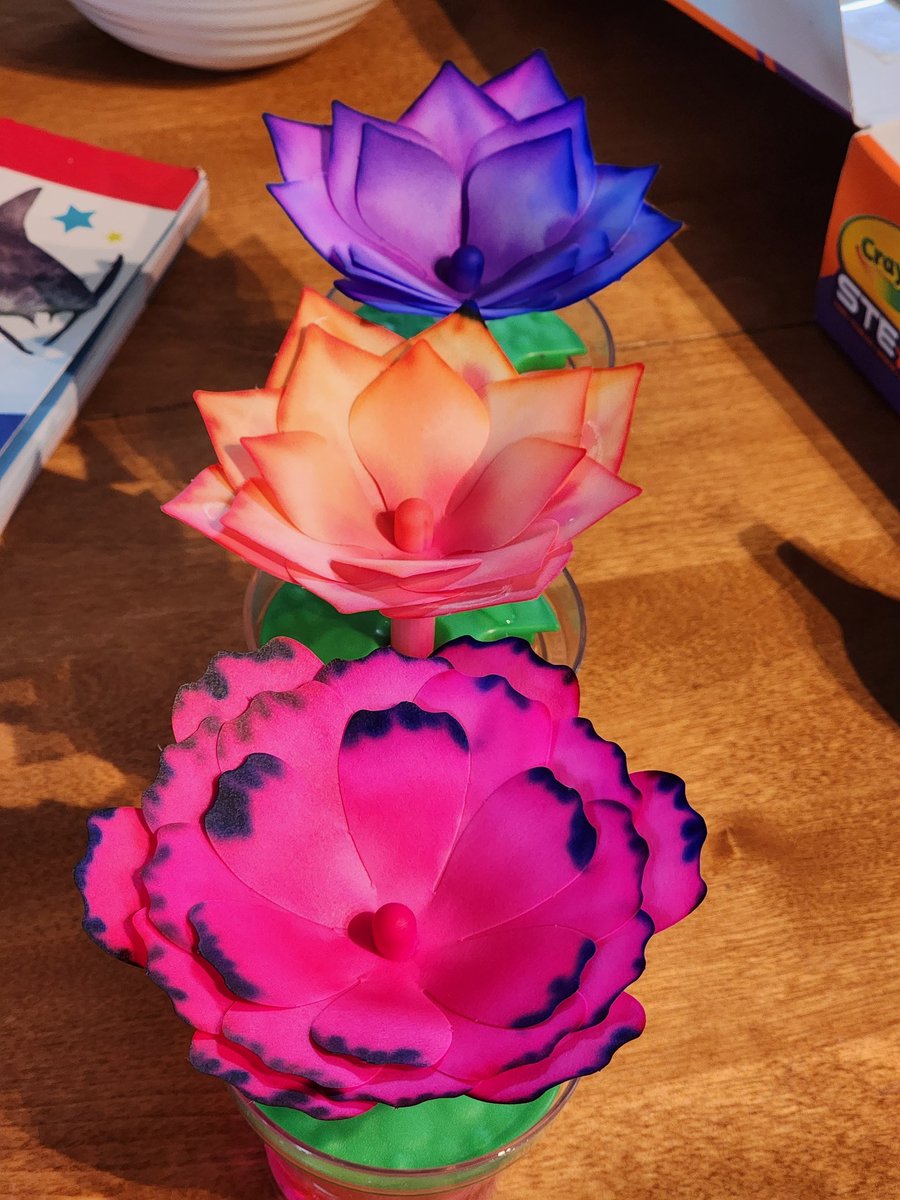 Pretty cool @Crayola paper flower kit for rainy day fun. 🎨🌧️ #art #dadlife