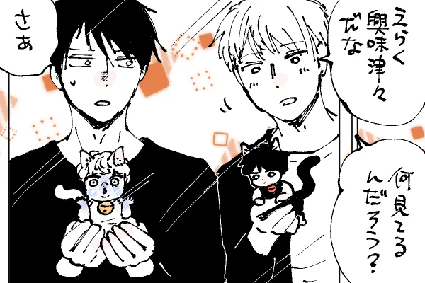 🐱キラキラにゃんこ生活 気になる🐈がいる