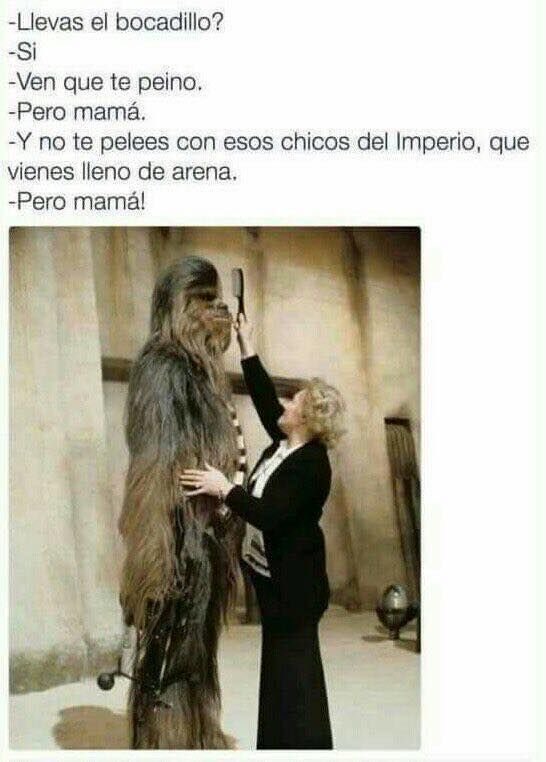 VeritouVara's tweet photo. Pero mamá! #Chewi https://t.co/Faa7ryG65U