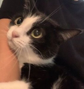 piwoncats's tweet photo. https://t.co/LfZTY2BKFz
