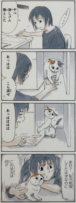 『特選拾い猫のモチャ』8