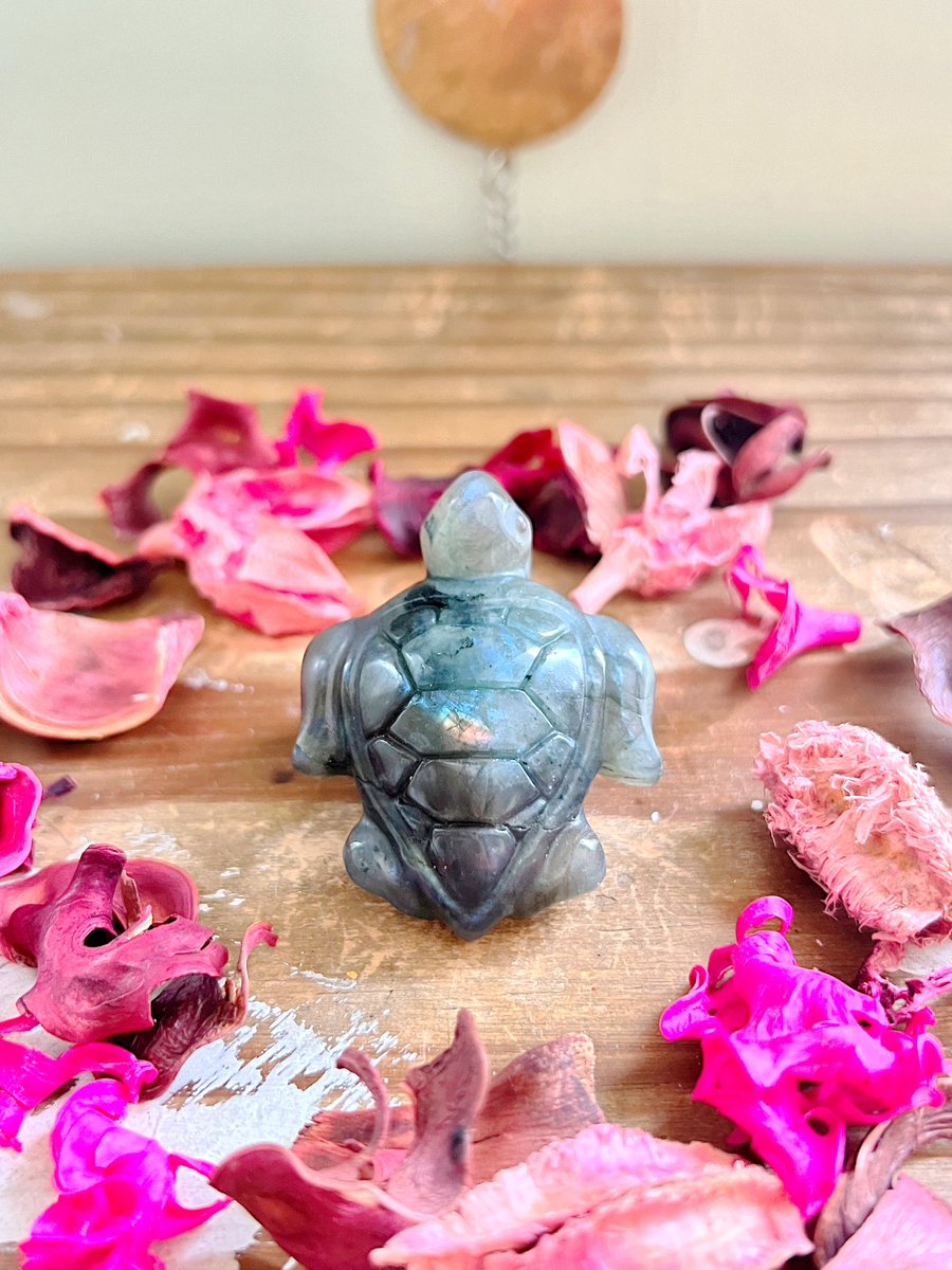 NEW CRYSTALS ARE NOW IN MY SHOP!🤍✨We have so many new absolutely beautiful crystals available!! PICS ARE IN THE 🧵 BELOW ⬇️ can we find some their forever home today? 📸: Carnelian, Chocolate Moonstone, Mookaite, Labradorite roseandquartz.com comes with a gift!✨