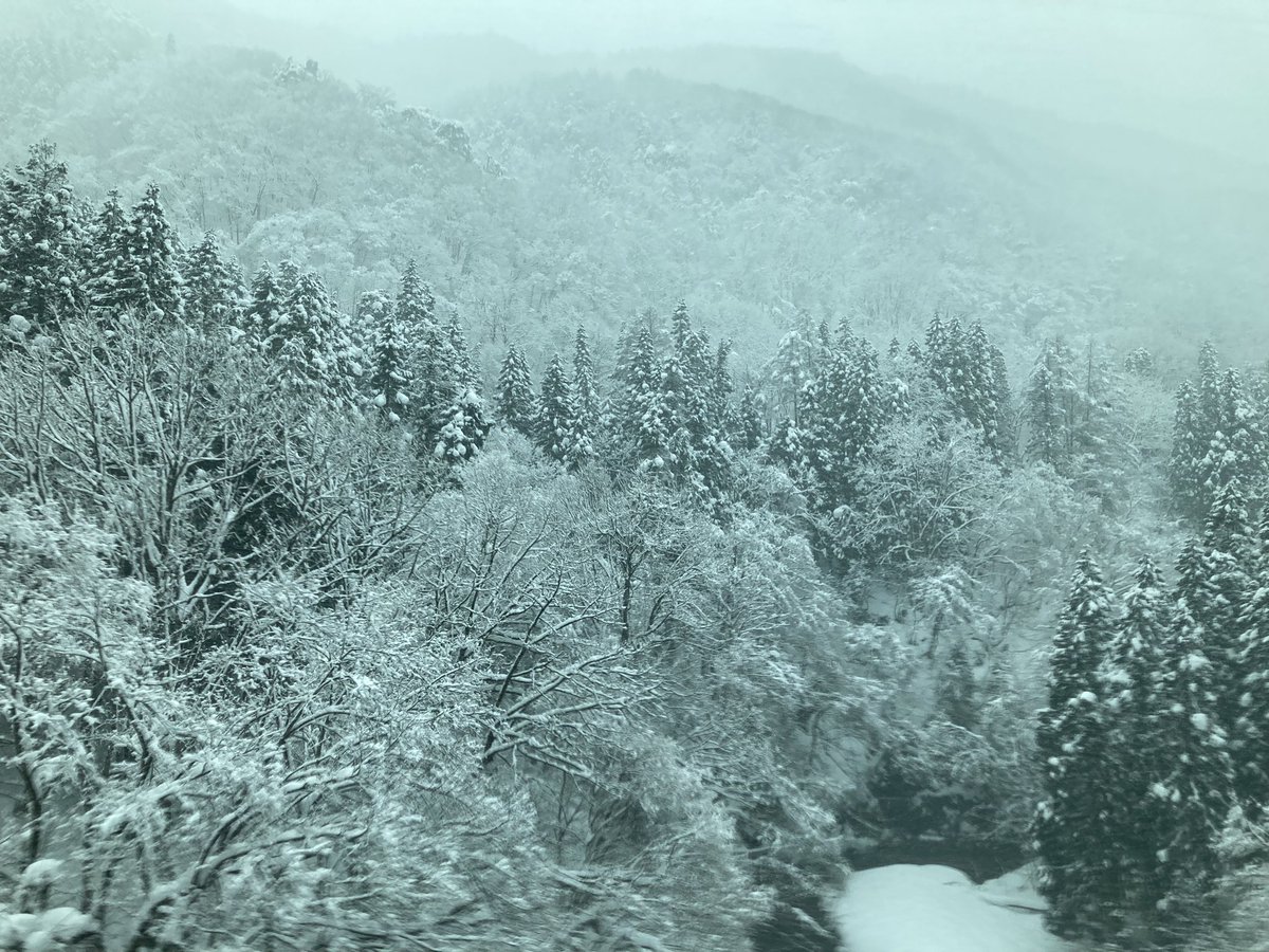Qnj6WYbg9KMd4hg's tweet photo. 季節外れですが、車窓からの雪景色を1枚。
ずっと景色を眺めていました。

⭐️ フォロワー募集 ⭐️
#フォロバ100 
#相互フォロー https://t.co/izvWahIEaR