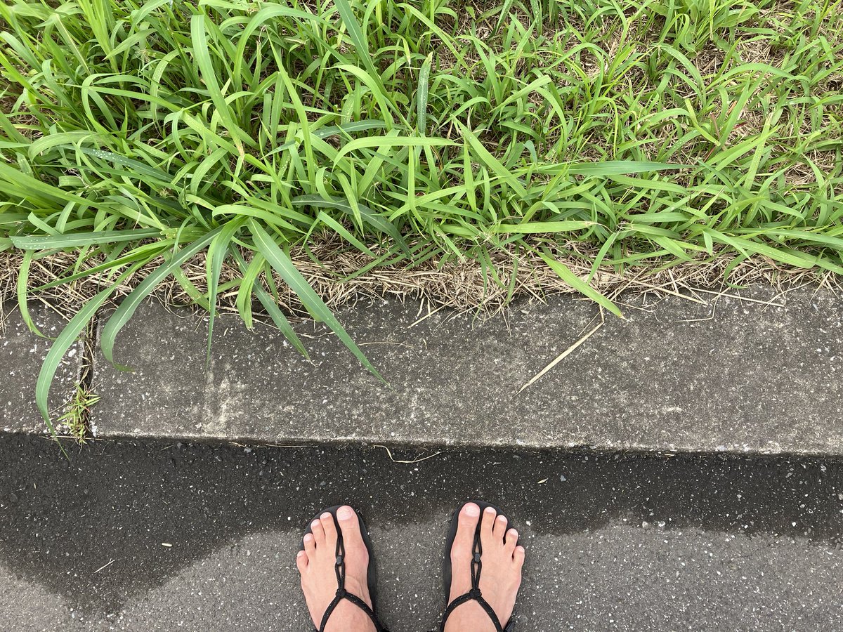 harvest_dev_jp's tweet photo. #サンダルラン
279回目
土曜の朝に荒川土手へ。
曇り空が少しずつ明るくなる空模様。
天気下り坂みたいなので雨の前に走れてラッキーだった。
#ゼロシューズ
#GENESIS
#STRVA https://t.co/Qb8NGPioPC