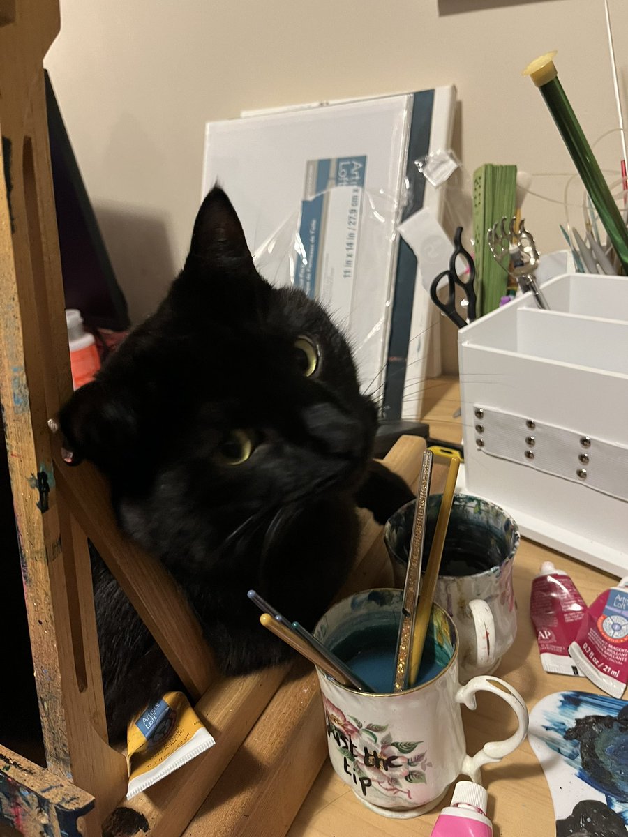 hedgewesui's tweet photo. He’s “helping.” https://t.co/U3jngHTMzg