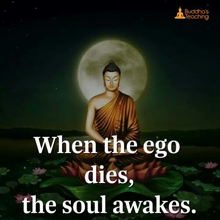 #egodeath #consciousness #expandingconsciousness #higherself #kundaliniawakening #ego  #egoistheenemy #lifelessons #ascension #awaken #cosmicconsciousness #deathoftheego #5d #pinealgland #soullessons #awakening #lightworker #soulpurpose #soulwork #spiritualgrowth #soulawakening