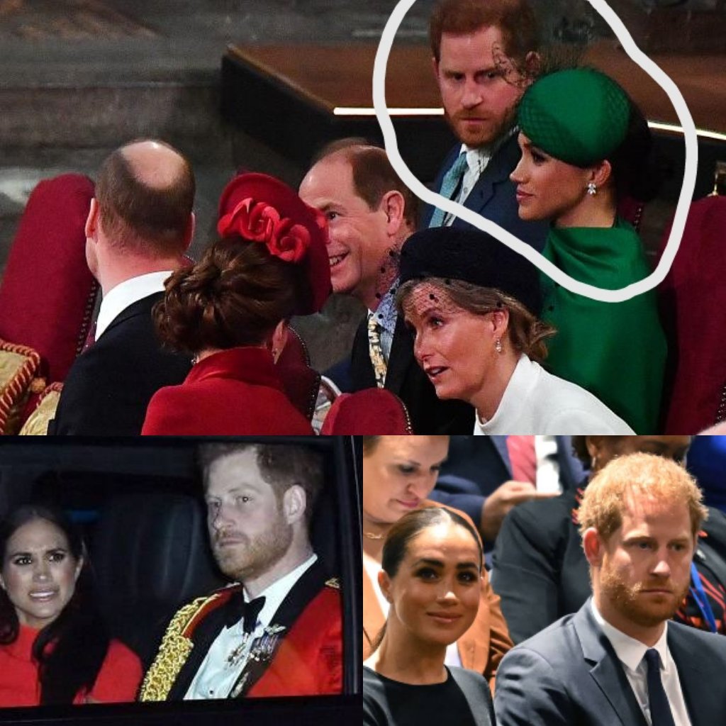 M (@jorielf1) on Twitter photo <a href="/MrMrsHenryWales/">👑 HRH Chelsy💝The Princess of Sussex 👑</a> If only 🪶give up his royal life, renounce his titles, place LoS
be normal and private citizen.
Back then.
Chelsy loves Hazbeen, not titles. She saw real on him. Cheater, abuser, party, addict. If only he can change but nah ENTITLED BRAT MAN CHILD. <a href="/MrMrsHenryWales/">👑 HRH Chelsy💝The Princess of Sussex 👑</a> If only 🪶give up his royal life, renounce his titles, place LoS
be normal and private citizen.
Back then.
Chelsy loves Hazbeen, not titles. She saw real on him. Cheater, abuser, party, addict. If only he can change but nah ENTITLED BRAT MAN CHILD.
