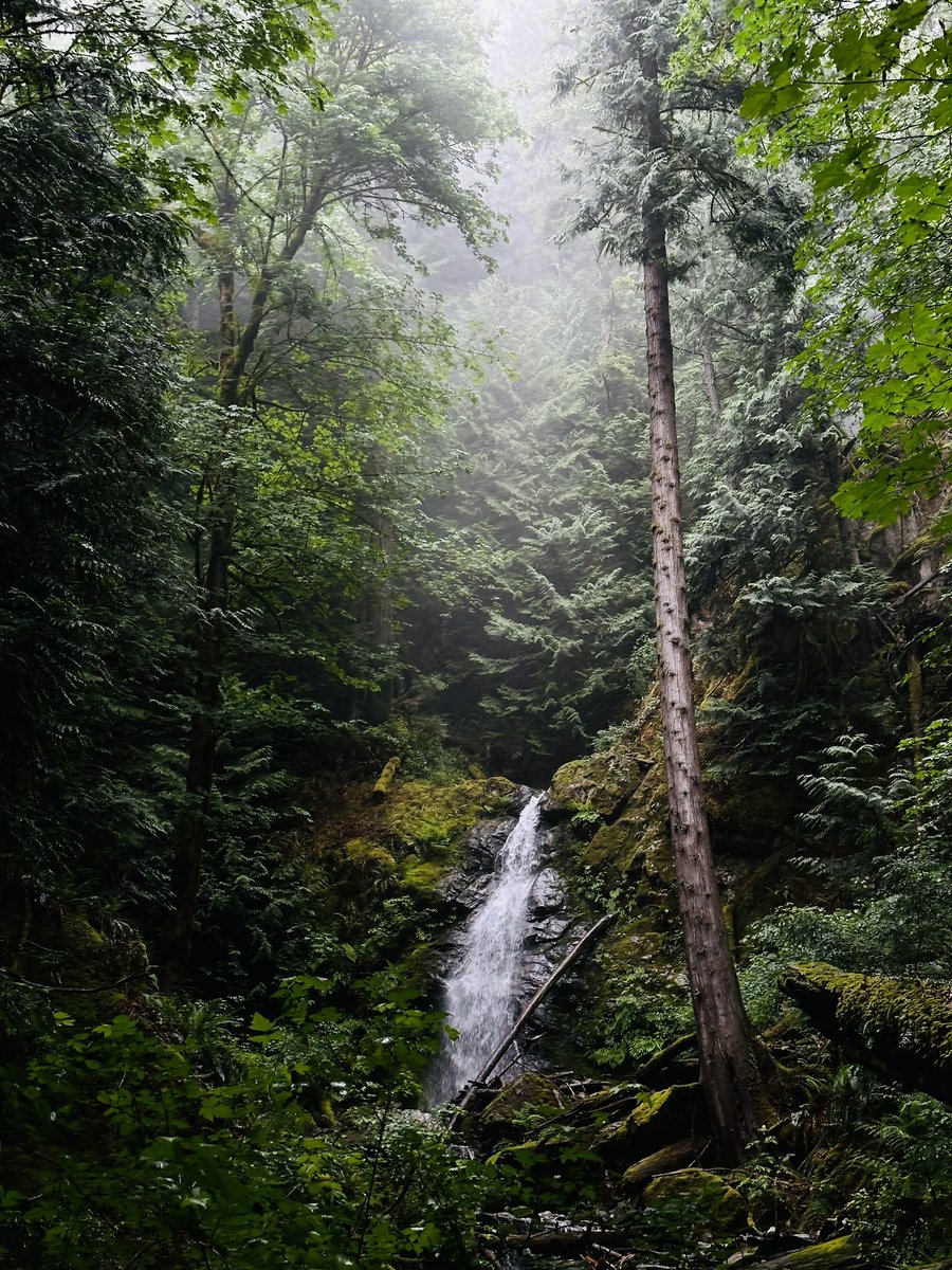 Backcountry exploring with <a href="/JuusoHD/">Juuso ✨ Audiovisual Artist</a> 💚 🌲