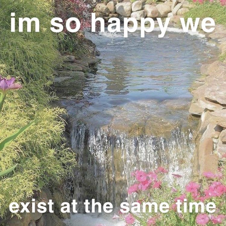 WholesomeMemes (@wholesomememe) on Twitter photo 