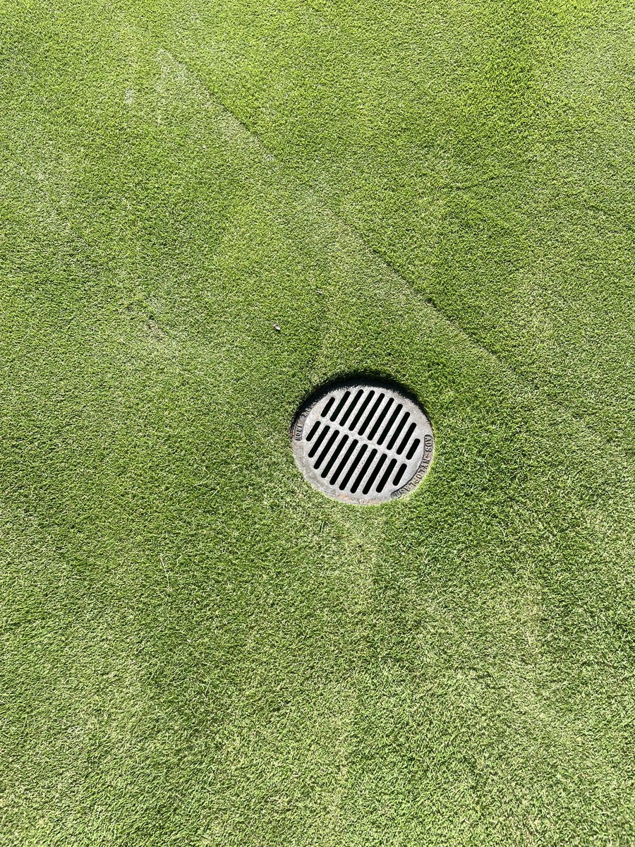 Members ask what the trimmer in my cart is for??  Details baby!  #clean #detailsmatter #thelittlethings ⛳️