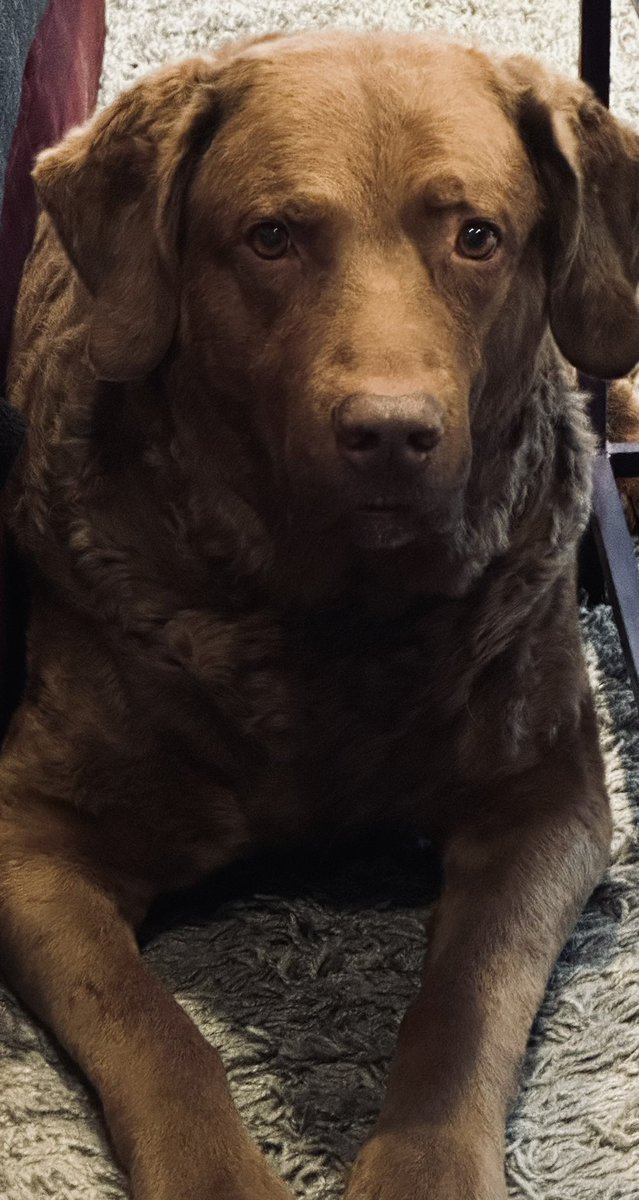 ChessieChance's tweet photo. You gonna share some of that burger, lady? Pre-game snacks for @OnPatrolNation #OPNation https://t.co/sLTQl3HKvO