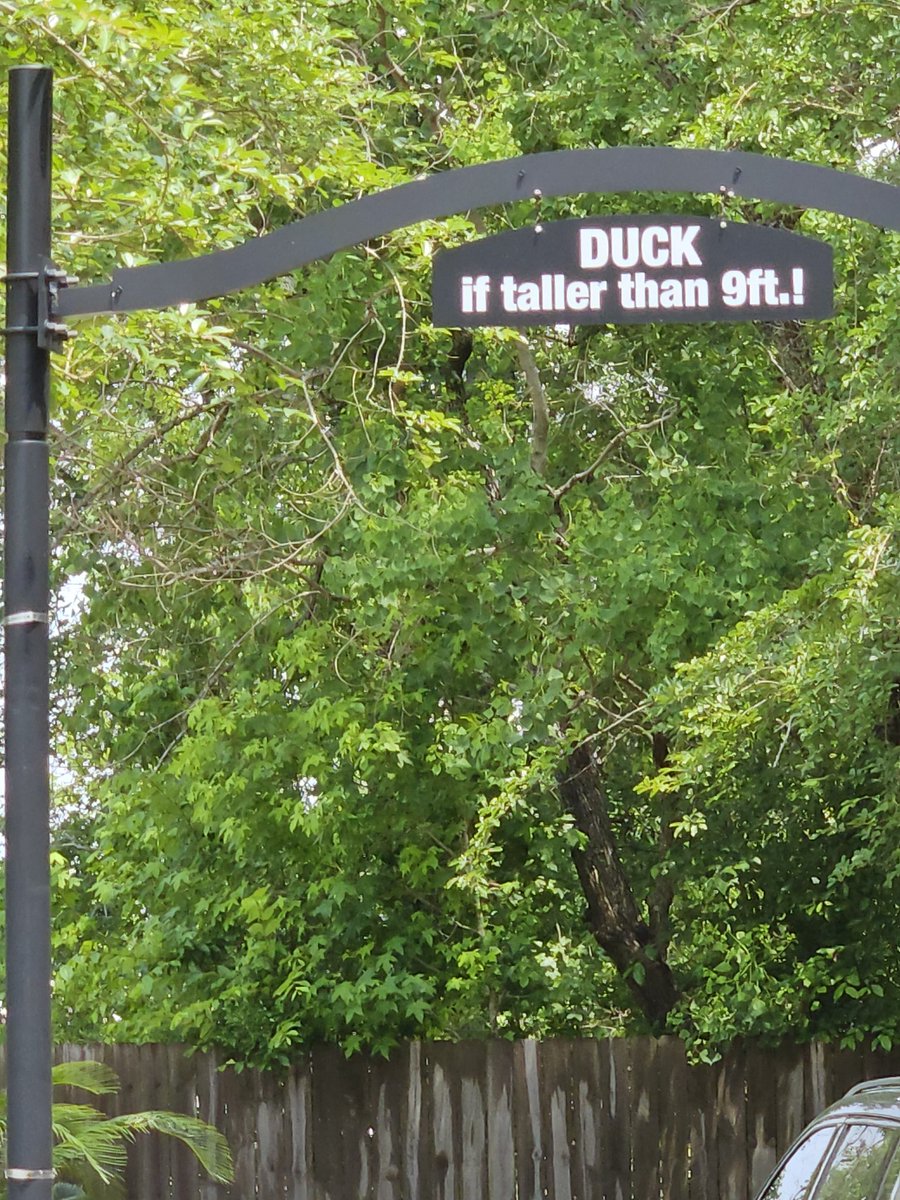 iSerlyndi's tweet image. At the local Taco Bell... #tallpeopleproblems #duck #tacobell