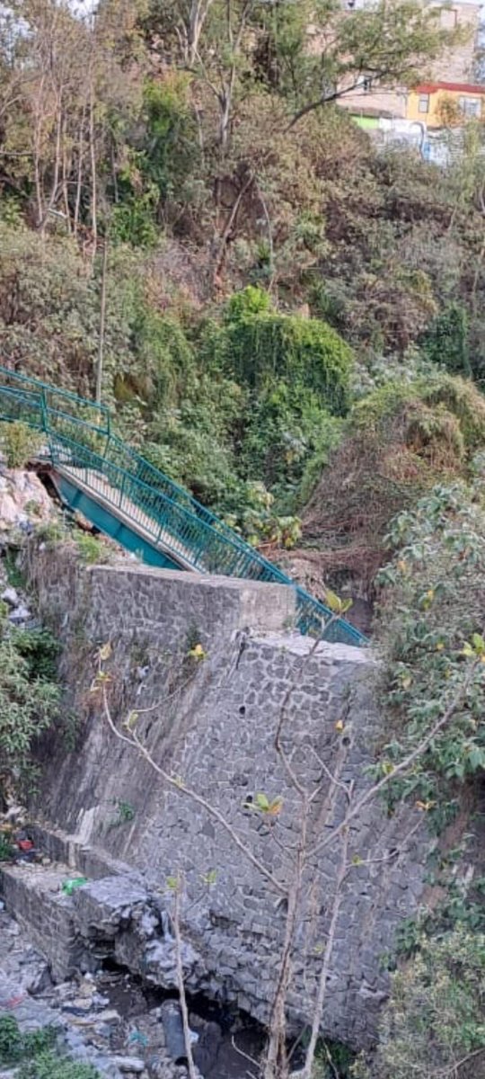 Lía Limón tweet media