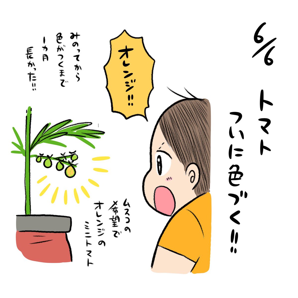 ポテトマ日記🍅
ついにオレンジに色づいてきた!!!ファーストトマトをいつ食べるか息子と相談中💪 