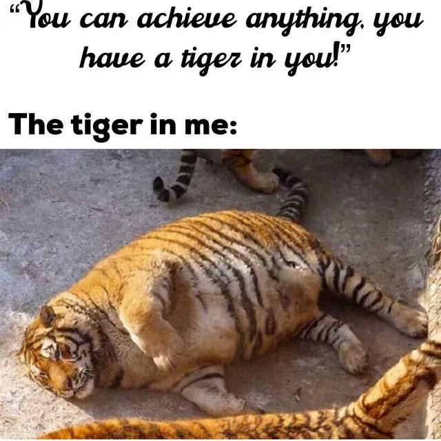 CauseWereGuys's tweet photo. https://t.co/aI4idq8wVi
