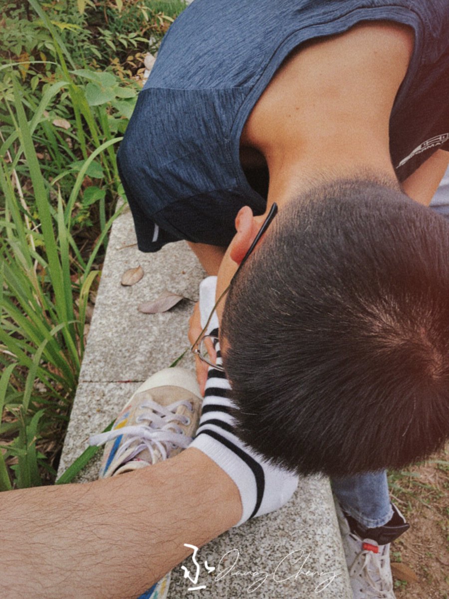 公园玩研究生狗