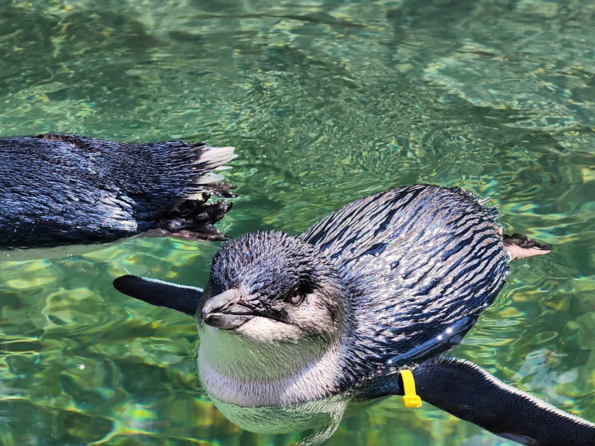 Katie Mae tweet media