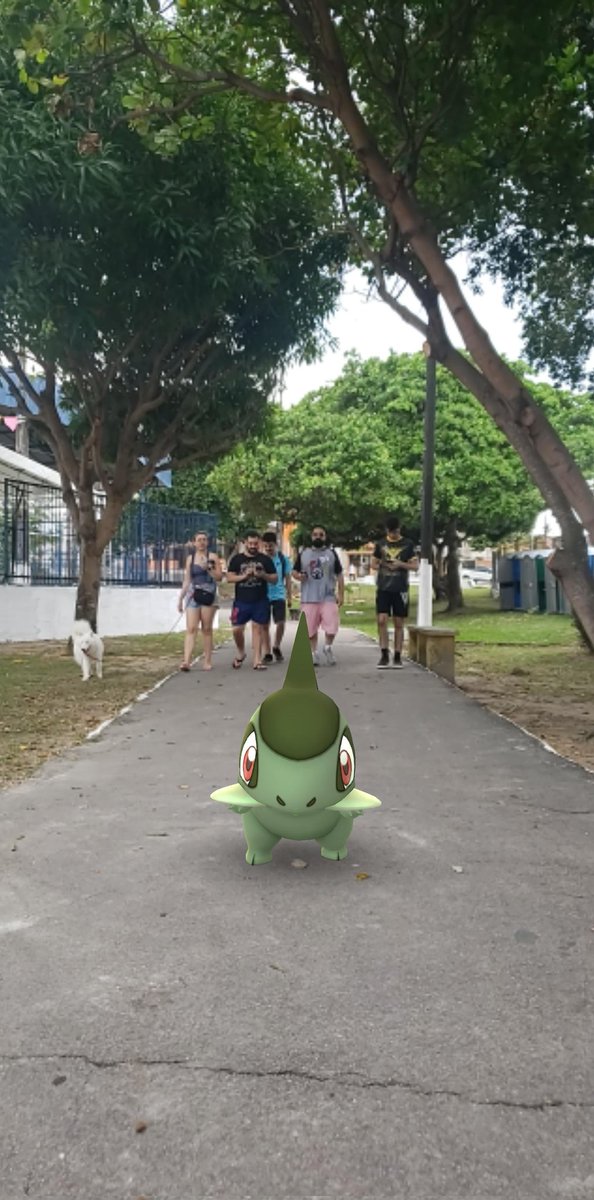 pokemongoufam's tweet photo. O dia da comunidade do Axew em Manaus foi bom demais, caçada intensa, muitos brilhantes e muita diversão!

#Ambassador 
#PokemonGo 
#PokemonGOCommunityDay 
@PokemonGoApp 
@PokemonGOptBR
@carrodoigor https://t.co/ijzFfK93GL