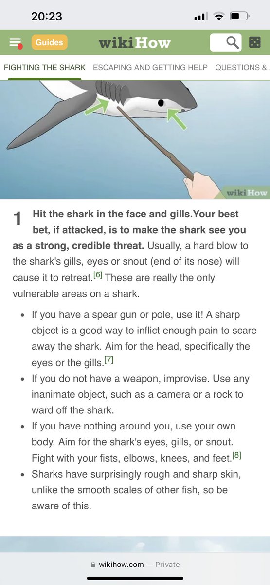 DaReelCAPTDREAD's tweet photo. Let’s get your learn on, since the last incident in Egypt better get your learn on. #SharkAttack #shark #survival 

From: 
https://t.co/8F5jJpnHHn https://t.co/Zn30tcLt36