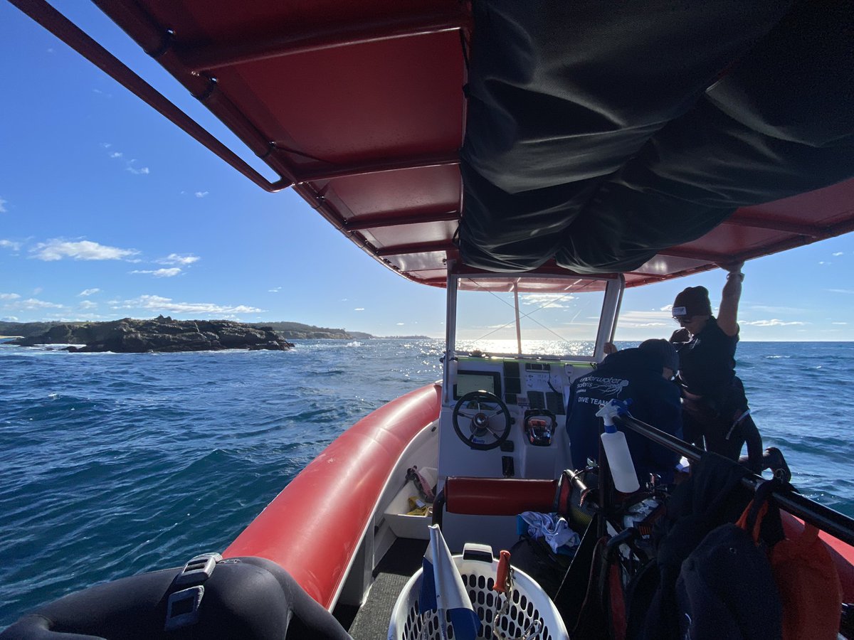 Feeling accomplished after some epic SCUBA surveys in southern NSW for our @WWF_Australia Innovate to Regenerate project, enhancing the health of kelp forests & returning the benefits straight to the local community