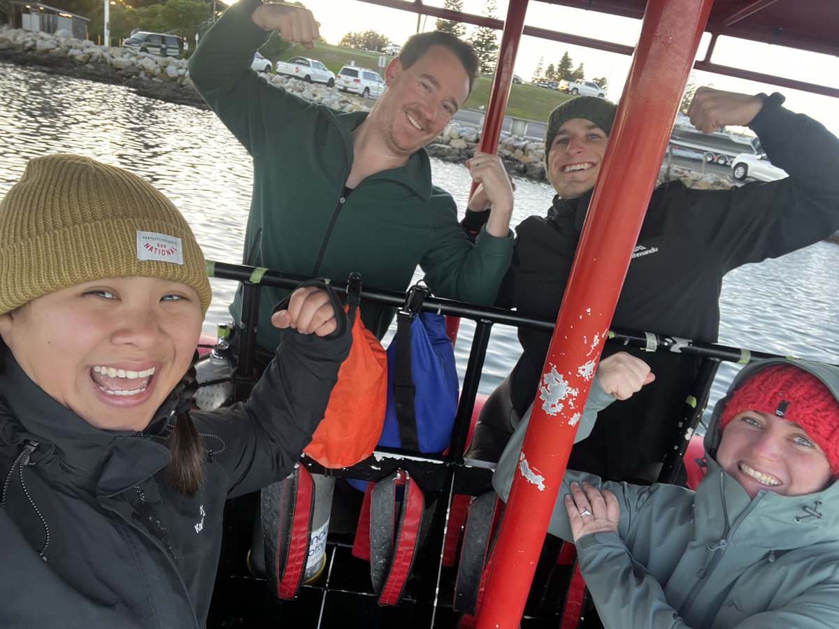 Clayton Mead tweet media