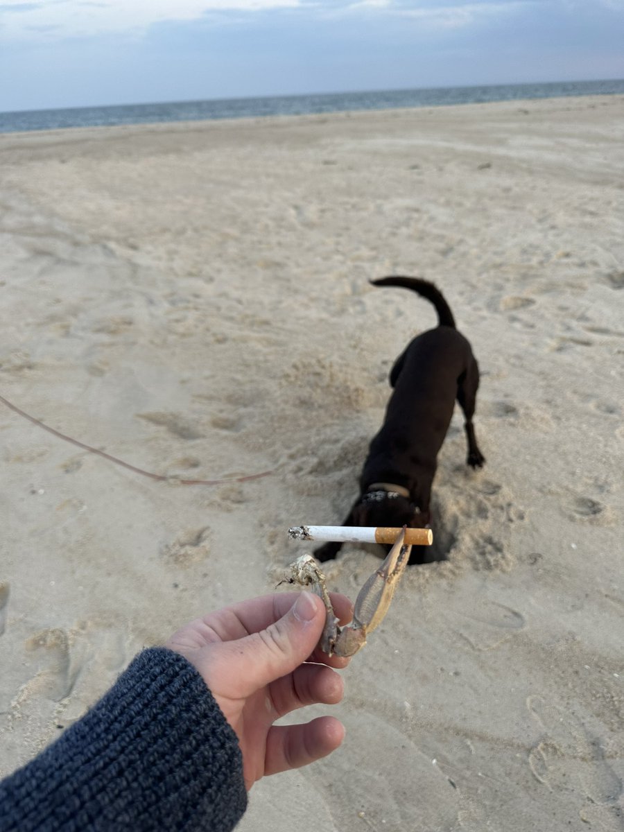 Zach Bryan tweet media