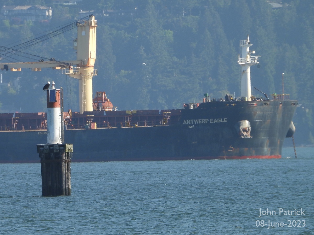 A pair of eagles: one on the channel marker, the other at anchor.
At Spanish Banks Beach, Vancouver.

#bird #eagles #baldeagle @WildAboutVan #freighter #birdwatching #BirdsOfTwitter #birdsofvancouver #