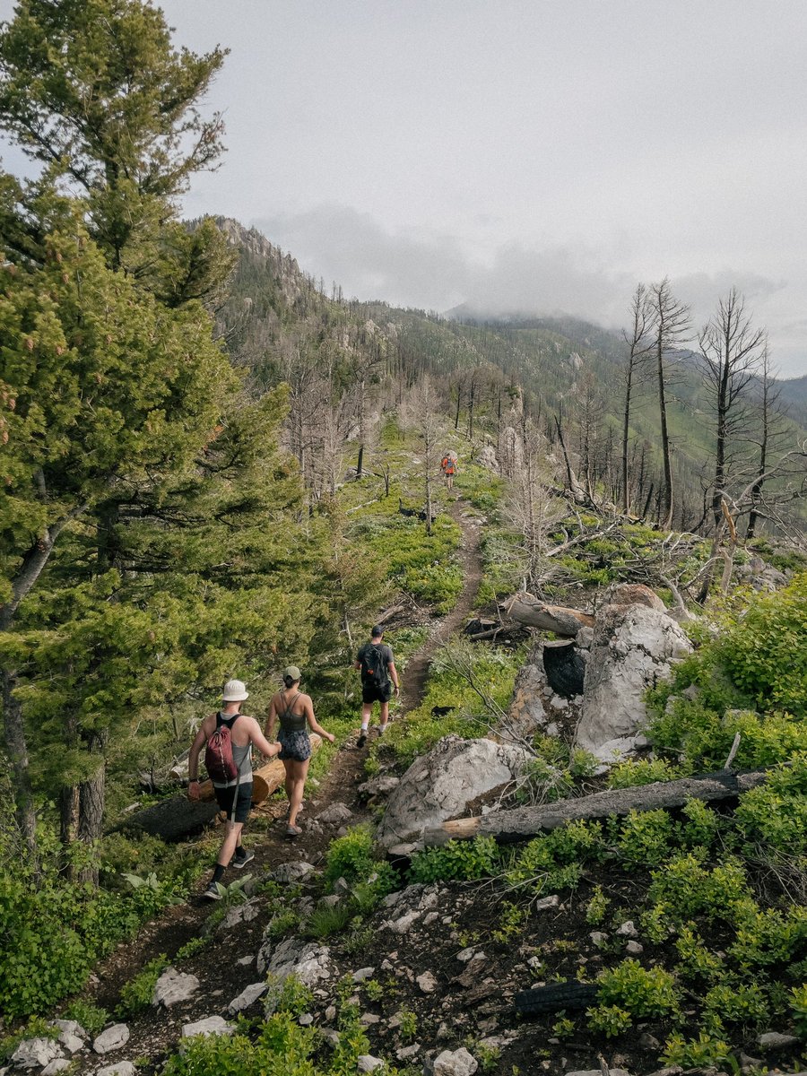 Justin D Kauffman tweet media