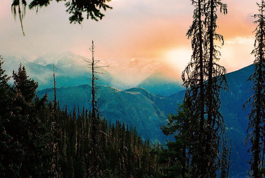 Enjoy the #EαrthPørn!

Sunset hike in Pemberton, BC [1818 × 1222] [OC] 
Photo Credit: _Kuma97 
.