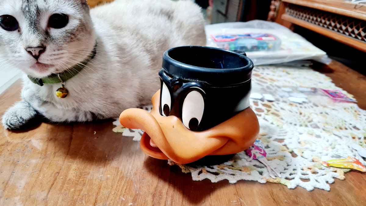 「found this daffy duck mug in my old cupb」|Seph 🌺 CF16 H-53bのイラスト