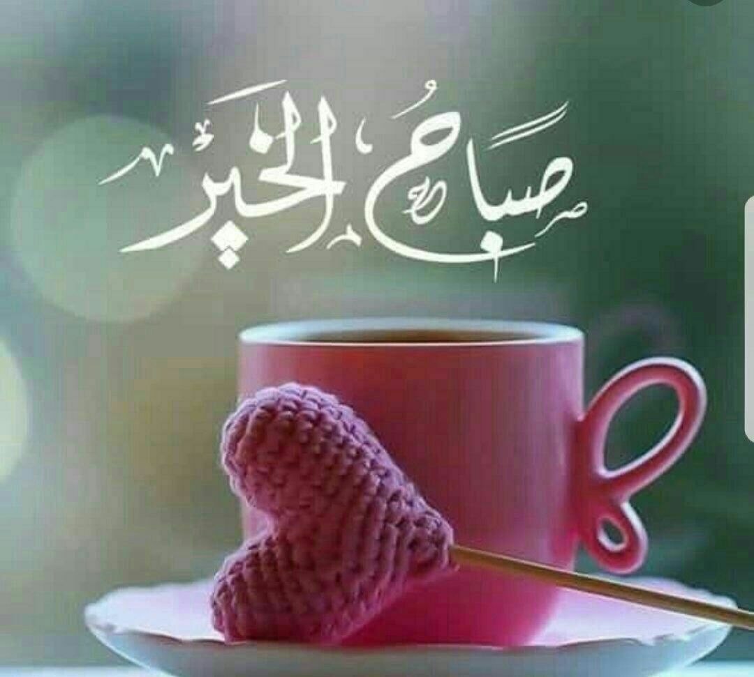 ..
..

اللهــم هب لنا نفوسـًا راضية،  وصدورًا من الهموم خالية،  وقلوبـًا بحبك  صافية،  وأتم علينا  العافية 💕.

 💞🌸 اسعد الله صباحكم🌸💞

..
..

#صباح_الخير_والسعاده_للجميع