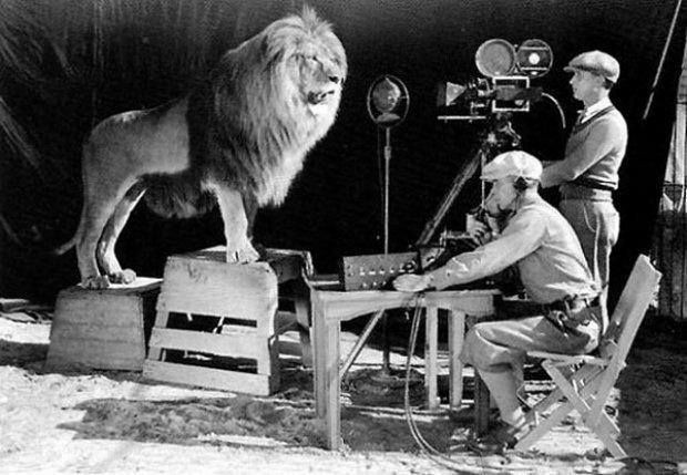 sweetiepiesnow's tweet photo. #vsshumour - Laughter in June
Poetry or Prose
Optional Prompt
June 11 prompt #ROAR
or anything amusing 😆
Tag #vsshumour
@thewriteprompt @vsswritingRT
@PassingPrompts @PromptAdvant @prompt_doc #vssWritingRT
✅Post #(s)
❌Not @(s)
📷 MGM Studios, Pinterest https://t.co/iumEI8iSck