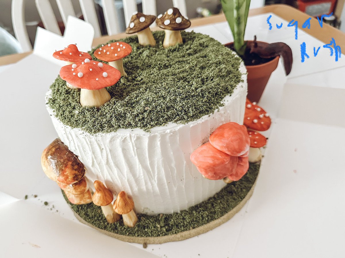 My friend made me the coolest 27th birthday cake ever 😭🫶🍄🤌🏻  #sugarrush #606 #kentucky #birthday #foodie #shroomi #birthdaycake