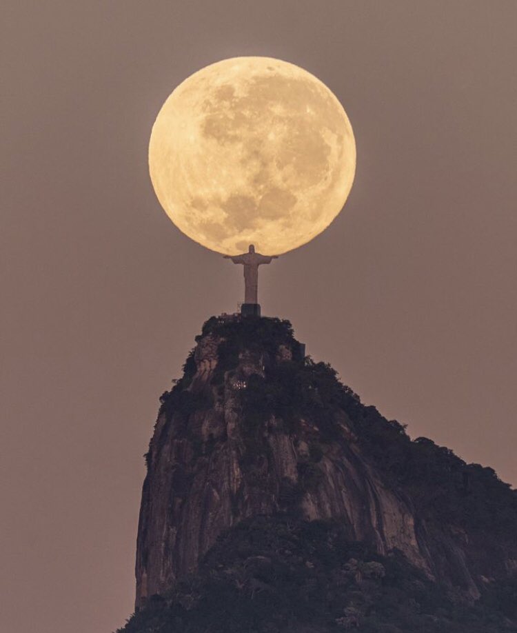 Pics courtesy: linktr.ee/leonardosens