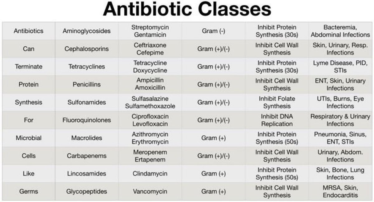 TA_pharmacy's tweet photo. 💊Antibiotic groups and their examples 

#MedEd #MedTwitter #medicine #MedEd #MedTwitter #medicine #TwitteRx @DrPharmDMDTh  #pharmacology #PharmEd

https://t.co/aSEu78tQAl https://t.co/oEio7PwyYo