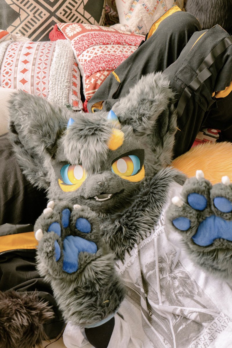 두둥탁💥

#FursuitEveryday