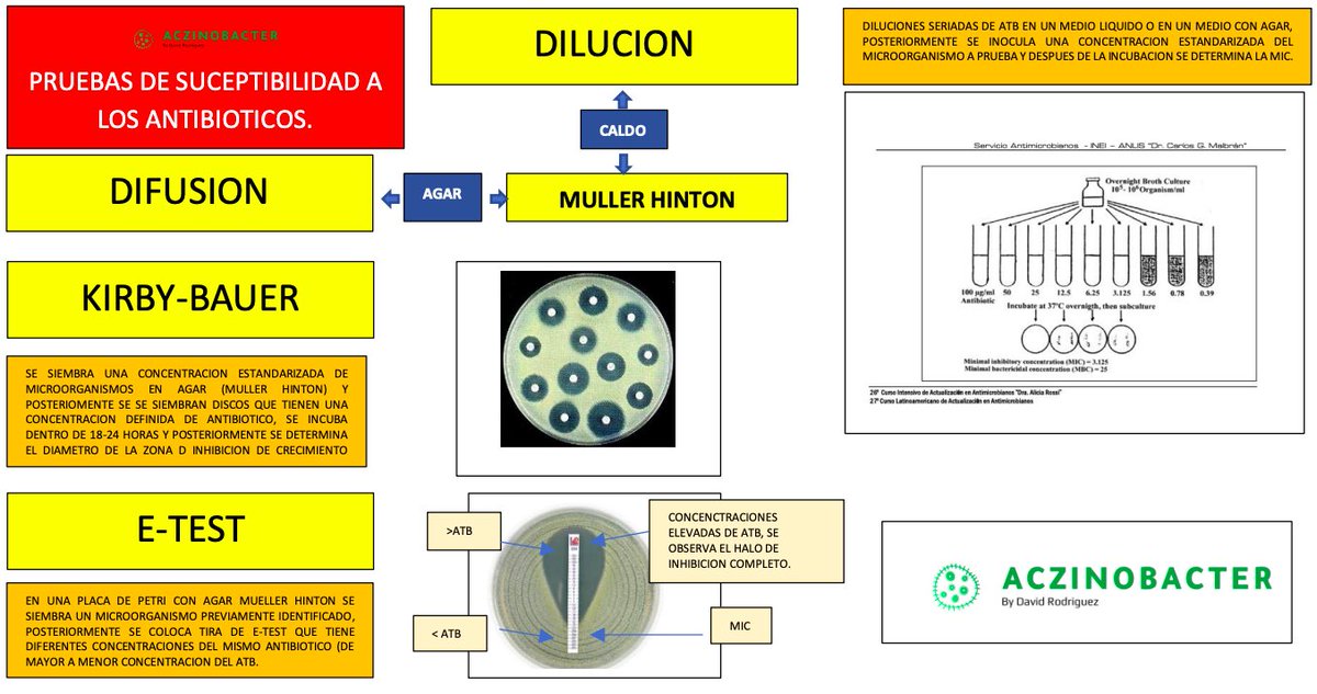 aczinobacter's tweet photo. Las Pruebas de suceptibilidad a los antibiótico evalúan la eficacia de los antibioticos frente a las bacterias.

Ayuda a elegir el mejor tx, basándose en la CIM

⭐️Kirby Bauer
⭐️E-test 
⭐️Dilución en caldo
#microbiologia #antibioticos #infectologia https://t.co/ruYEgCFTf7
